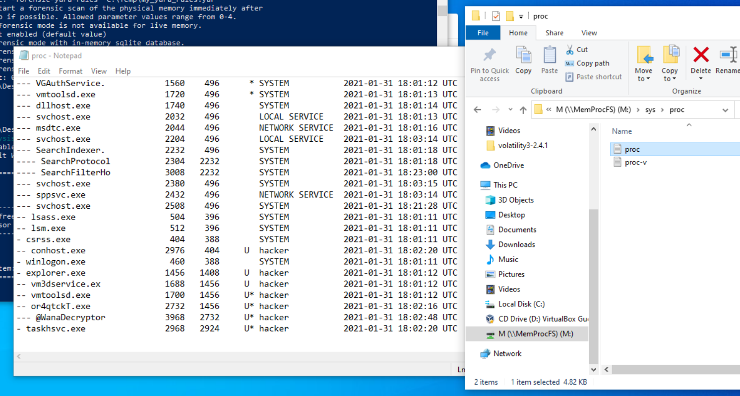 MemProcFS (Part 1) | Scavengers' Repo
